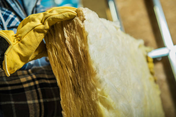 Best Specialty Insulation in Avenal, CA